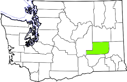 washington fire, washington firefighters, wa firefighters, wa fire, washington fire department, adams county, adams county ems, adams county fire apparatus, adams county fire departments