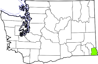 washington fire, washington firefighters, wa firefighters, wa fire, washington fire department, asotin county, asotin county ems, asotin county fire apparatus, asotin county fire departments