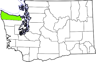 washington fire, washington firefighters, wa firefighters, wa fire, washington fire department, clallam county, clallam county ems, clallam county fire apparatus, clallam county fire departments