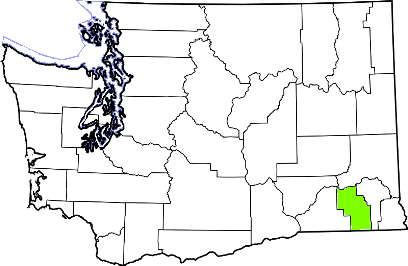 washington fire, washington firefighters, wa firefighters, wa fire, washington fire department, columbia county, columbia county ems, columbia county fire apparatus, columbia county fire departments