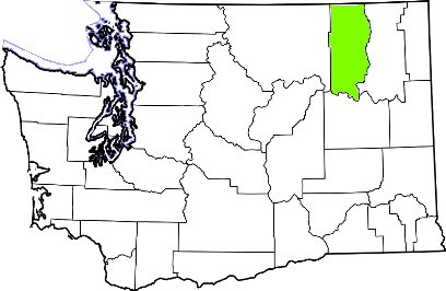 washington fire, washington firefighters, wa firefighters, wa fire, washington fire department, ferry county, ferry county ems, ferry county fire apparatus, ferry county fire departments