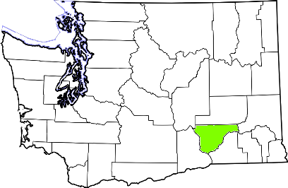 washington fire, washington firefighters, wa firefighters, wa fire, washington fire department, ferry county, ferry county ems, ferry county fire apparatus, ferry county fire departments