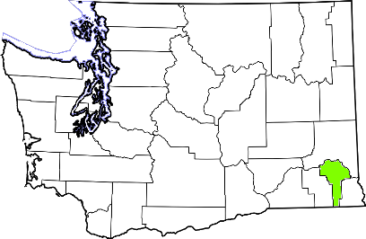 washington fire, washington firefighters, wa firefighters, wa fire, washington fire department, garfield county, garfield county ems, garfield county fire apparatus, garfield county fire departments