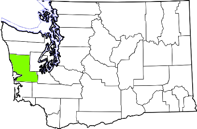 washington fire, washington firefighters, wa firefighters, wa fire, washington fire department, grays harbor county, grays harbor county ems, grays harbor county fire apparatus, grays harbor county fire departments