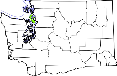 washington fire, washington firefighters, wa firefighters, wa fire, washington fire department, island county, island county ems, island county fire apparatus, island county fire departments