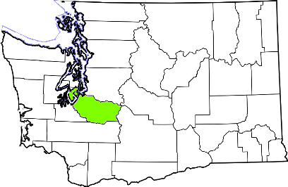 washington fire, washington firefighters, wa firefighters, wa fire, washington fire department, pierce county, pierce county ems, pierce county fire apparatus, pierce county fire departments