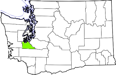 washington fire, washington firefighters, wa firefighters, wa fire, washington fire department, thurston county, thurston county ems, thurston county fire apparatus, thurston county fire departments