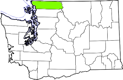 washington fire, washington firefighters, wa firefighters, wa fire, washington fire department, whatcom county, whatcom county ems, whatcom county fire apparatus, whatcom county fire departments