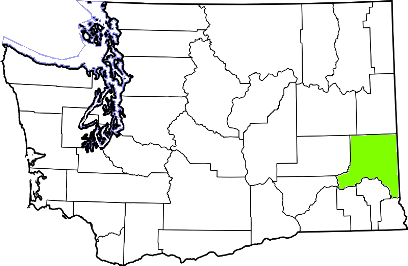 washington fire, washington firefighters, wa firefighters, wa fire, washington fire department, whitman county, whitman county ems, whitman county fire apparatus, whitman county fire departments